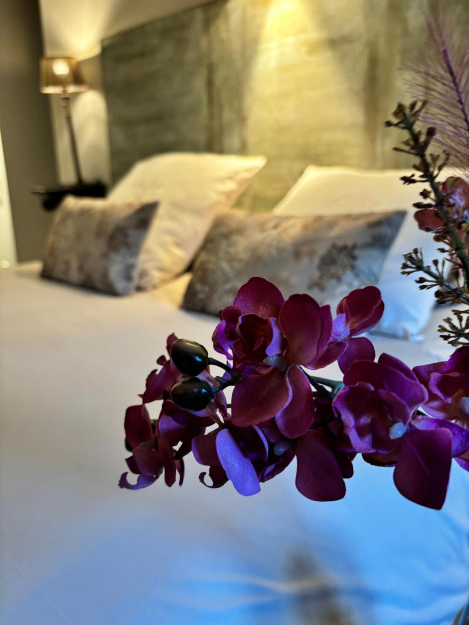 La Vie De Chateau Grignan Ngoại thất bức ảnh